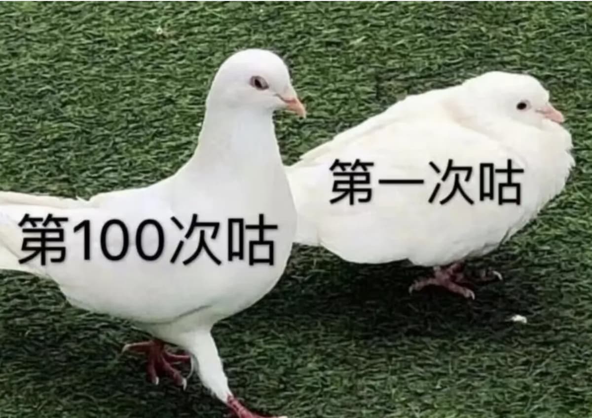 自由讨论
